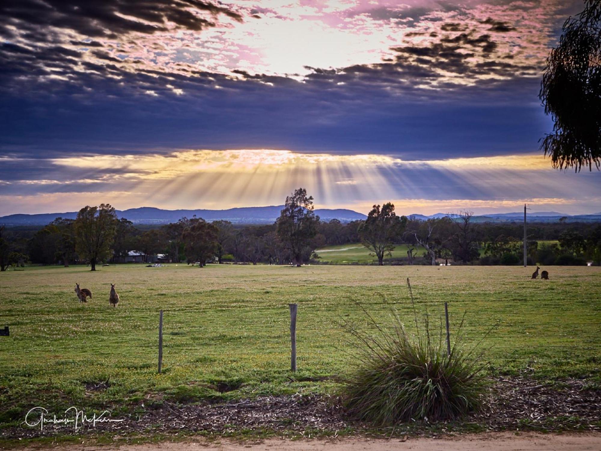 Grampians Pioneer Cottages ホールズギャップ エクステリア 写真