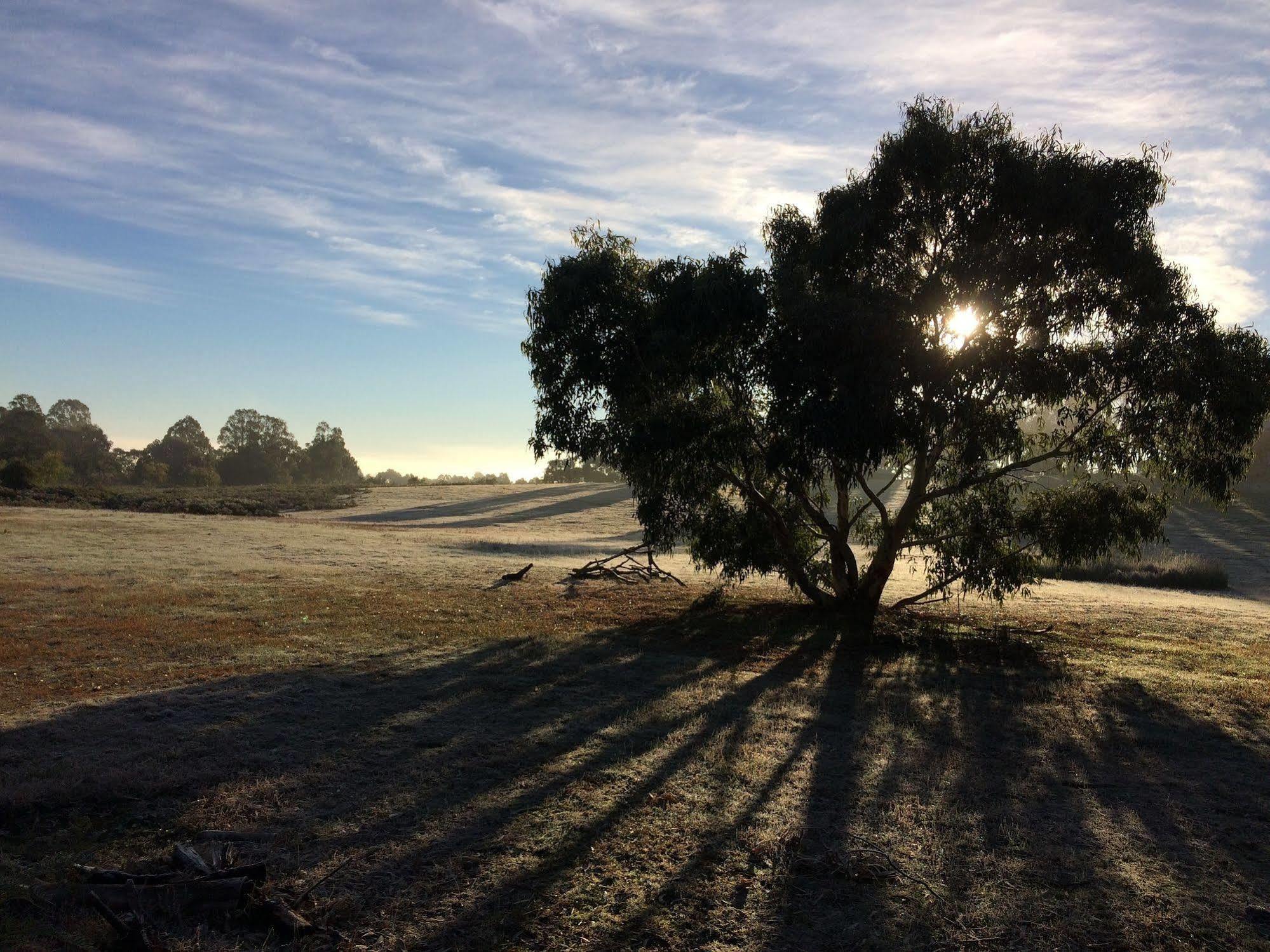 Grampians Pioneer Cottages ホールズギャップ エクステリア 写真